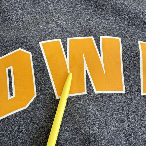 Unisex Adult Campus Heritage IOWA HAWKEYES Full-Zip Hoodie Sweatshirt Gray Sz M - Picture 3 of 11